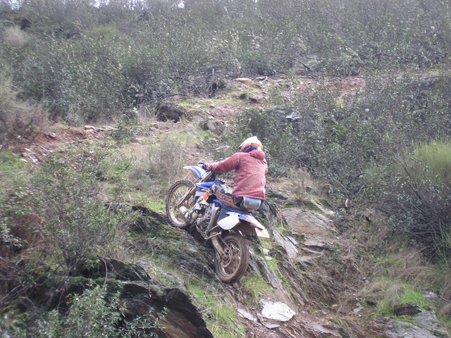 OLYMPUS-DIGITAL-CAMERA.jpg