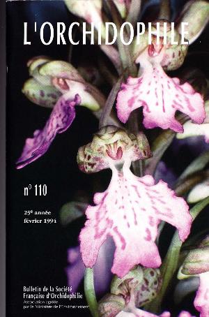 orchido110.jpg?042148