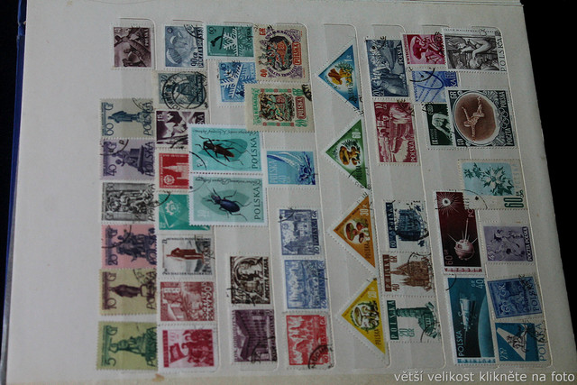 IMG-6964.jpg
