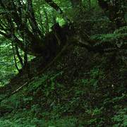 DSC7095