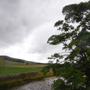 DSCF9128