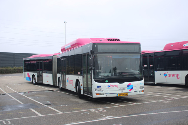 IMG-2655