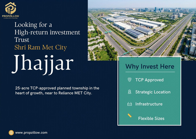 Professional Layout for Shri Ram Met City.jpg