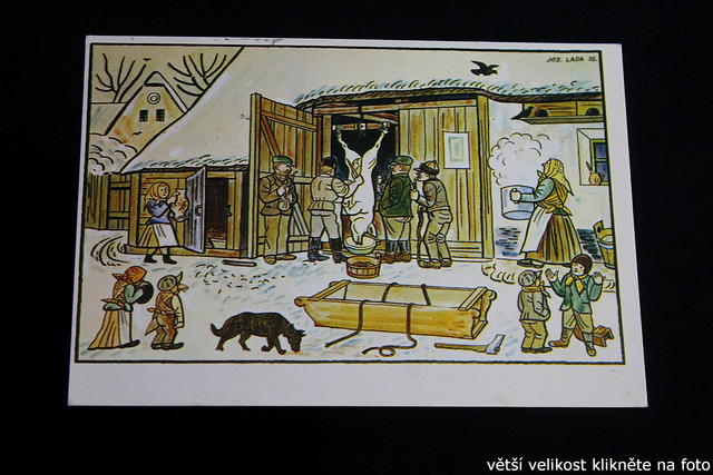 IMG-3787