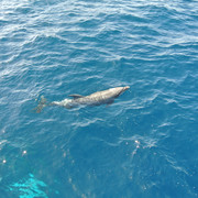 DSC-2774
