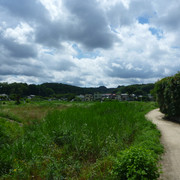 P1320514