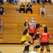IMG-0028