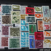 IMG-3019