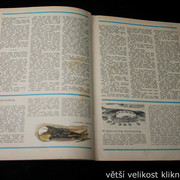 IMG-3584