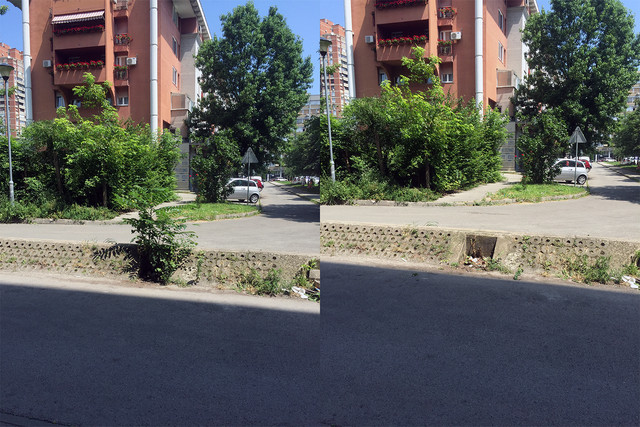 IMG-9936.jpg