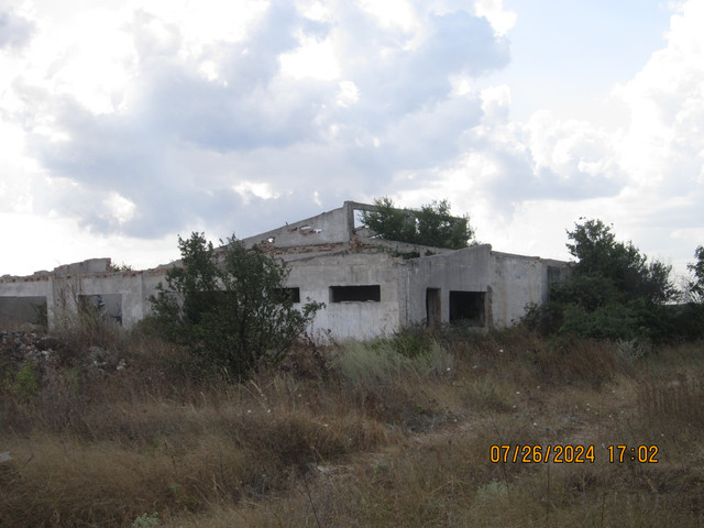 IMG-2237