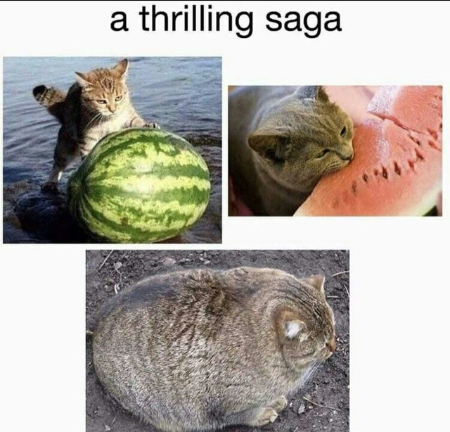 1647549656065