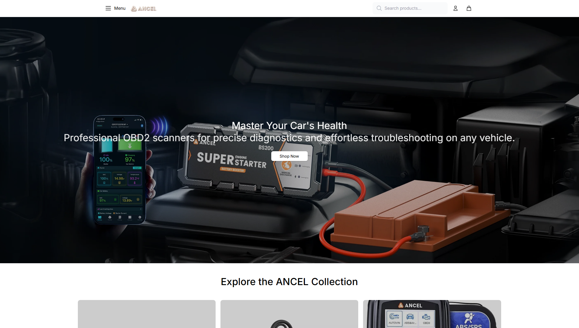 Stored capture of ancelonline.shop