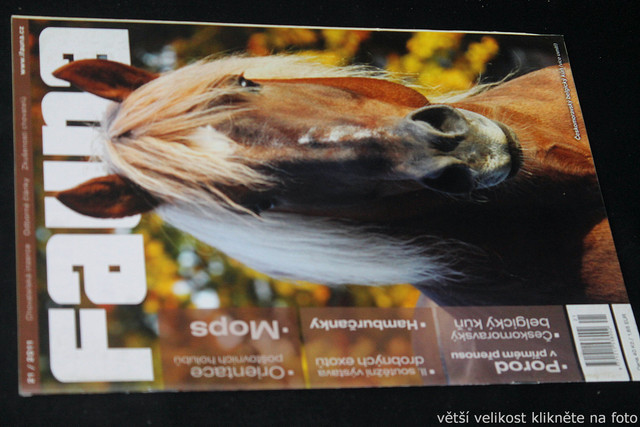 IMG-7733