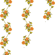 Layer 5