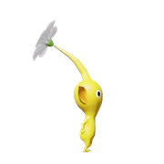 yellow7 removebg preview