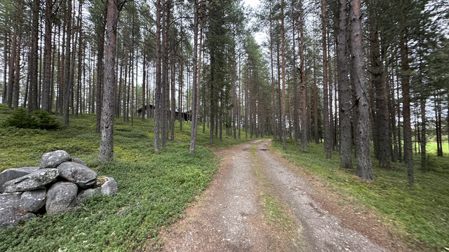 IMG 5704.jpg
