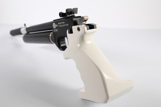 PP700W (07)