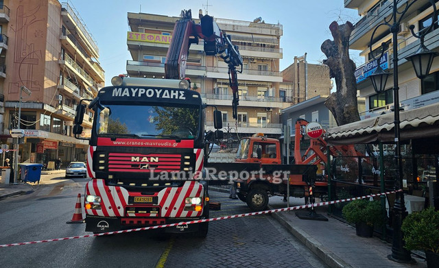 Δεντρο πλατεια Λαου016.jpg