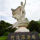 DSC00224