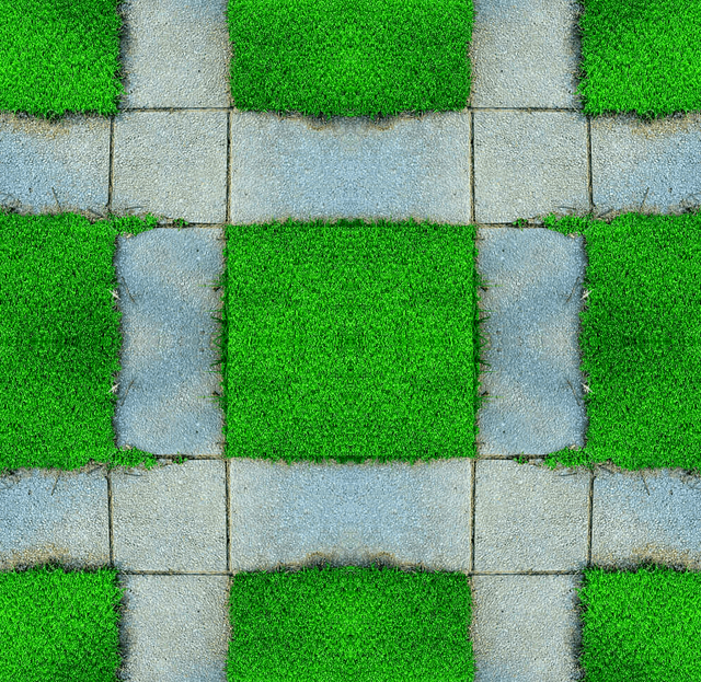ILBGSYSsv-Lmn-2.png