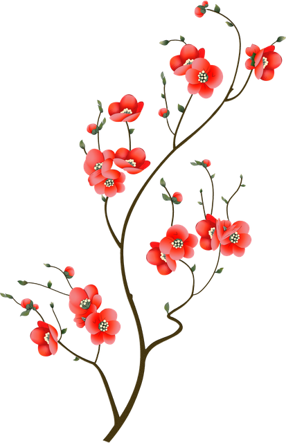 4b1ea84fde9c32139c35bd9c3d98967b.png