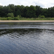 DSC06466-5