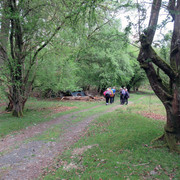 G Llanwrthwl