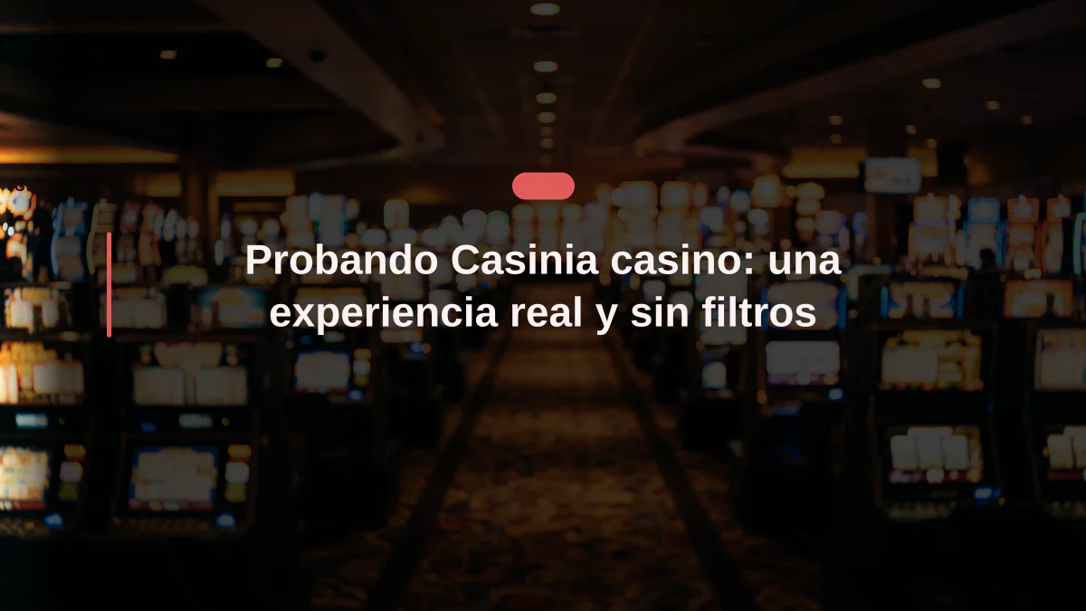 pies-82cba6c1e992.webp