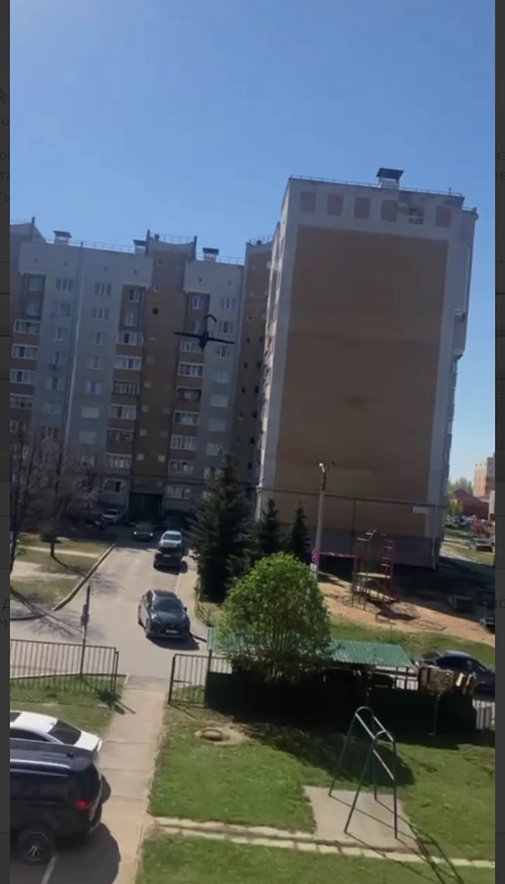 https://i.ibb.co/gFSpHqzN/image.jpg