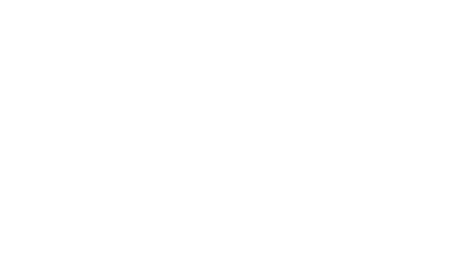 Project Logo