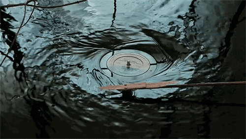 https://i.ibb.co/gFWfBdB3/777.gif