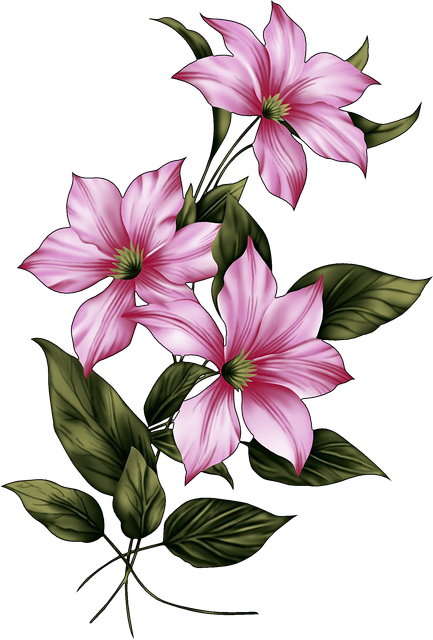 32e496a6b22f6efe26b9ff3fed20bb56.png