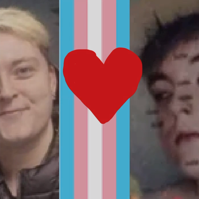 twizzy-trans