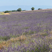 IMG-9267