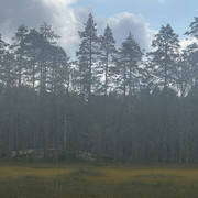 IMG 4573