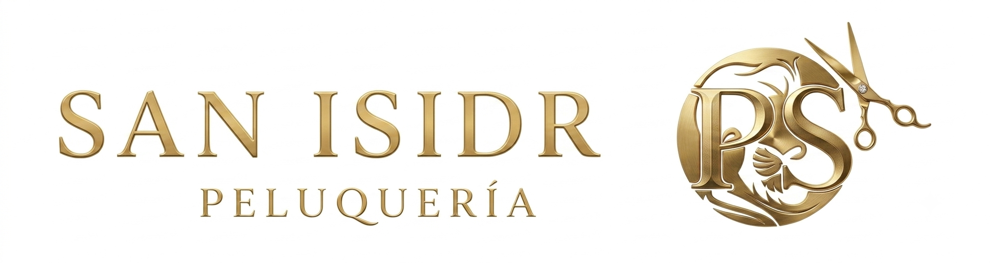 peluqueria san isidro