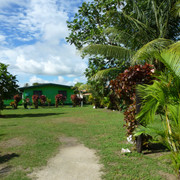 P1070009