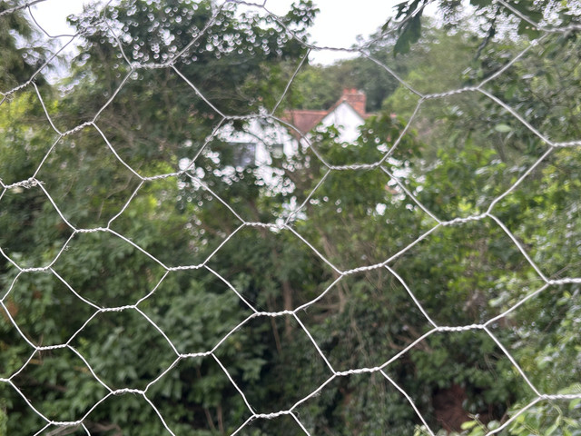 IMG 0470.jpg