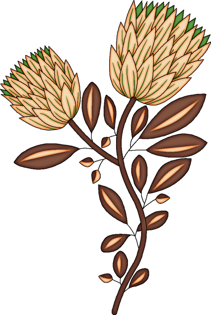 34716c9d56b954174c97d7519d89788a.png