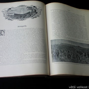 IMG-6366
