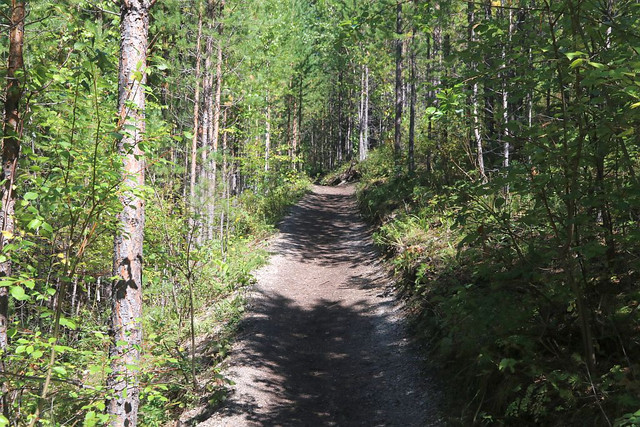 IMG 0349.jpg