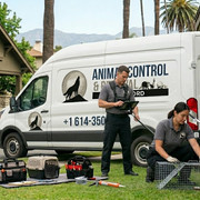 Pest control technician at work in Rockford IL