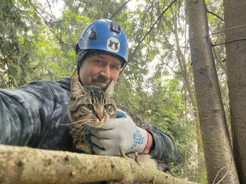 Canopy Cat Rescue: Saving Felines from High Perches
