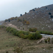 IMG_9663