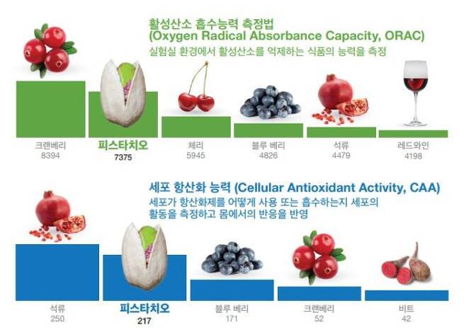 항산화 성분