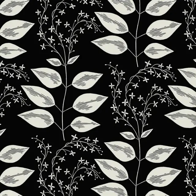 wolff6263mono.webp