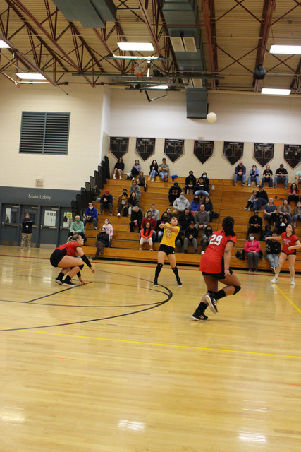 IMG-0206