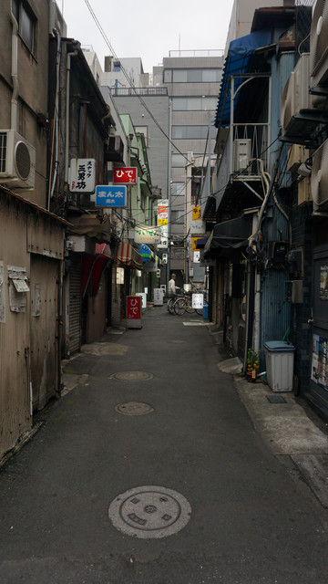 DSC04555