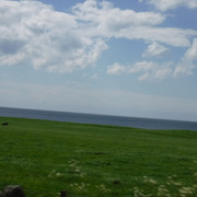 DSCF7945